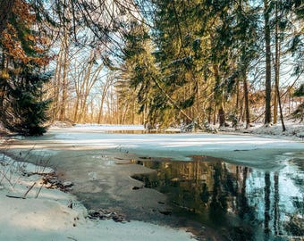 Sahli Park Frozen Lake - Digital download photo image print nature outdoor snowy winter artwork wall decor gift