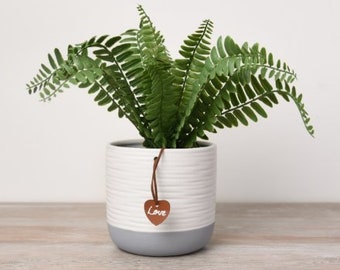 12.5cm White and Grey Pot - Modern and Versatile Planter for Indoor Plants