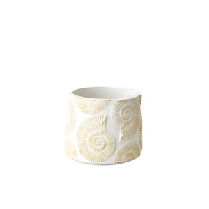 Small Sea Shell Ceramic Planter 12cm – Coastal Glazed Pot for Succulents, Herbs, or Mini Plants – Nautical Textured Indoor Decor for