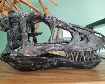 3d Printed lifesize Baby Tyrannosaurus Rex skull