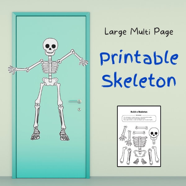 Printable Large Skeleton Halloween Decor  Ideal for Doors or Windows!  Large Multi Page Printable Skeleton Cute Halloween Party Decorations