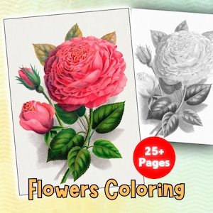 25 Elegant Flower Coloring Pages, Printable Designs, Stress Relief & Relaxation