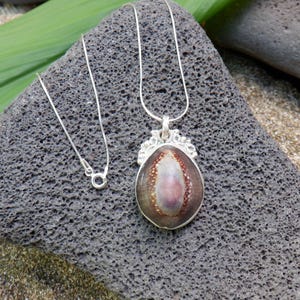 May include: A silver chain necklace with a pendant featuring a brown and pink seashell encased in silver. The pendant has a decorative silver border.