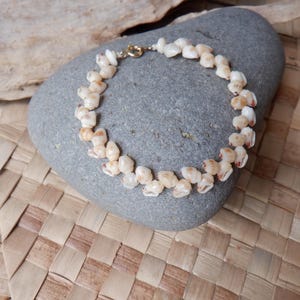 Peut inclure: Un bracelet de coquillages beiges et orangés avec un fermoir doré est posé sur une pierre grise. Le fond présente un tapis tissé. Le bracelet mesure environ 18 cm de long.