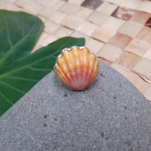 Op de afbeelding: Een schelpenring met een zilveren band. De schelp is een mix van oranje, roze en wit, met een geschulpte rand. De ring ligt op een grijze steen, met een groen blad op de achtergrond.