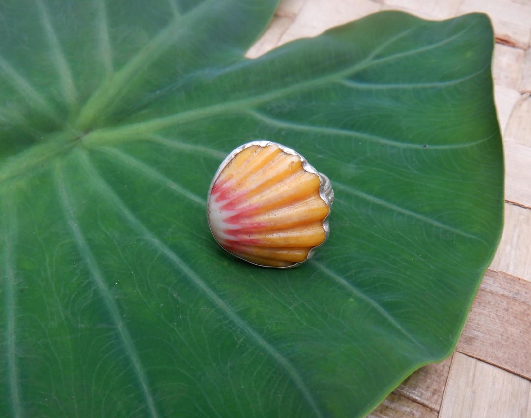 Hawaiian Sunrise Shell Ring With Sterling Silver Bezel and Patterned ...