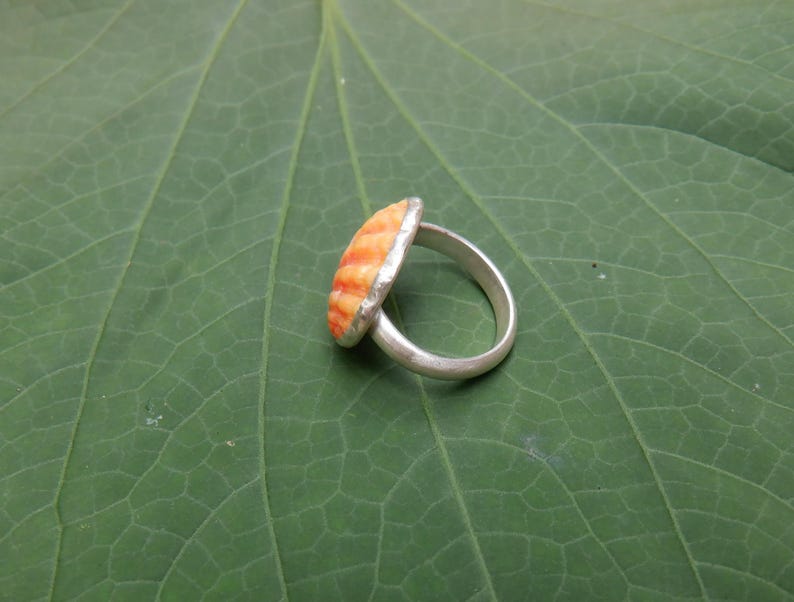 Hawaiian Sunrise Shell Ring With Sterling Silver Bezel and Patterned ...