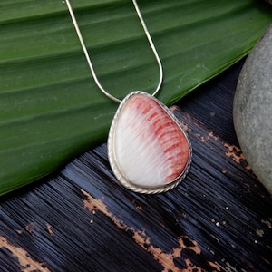 Hawaiian Thorny Oyster / Spiny Scallop Shell Pendant with Sterling Silver Bezel and Necklace - Kauai