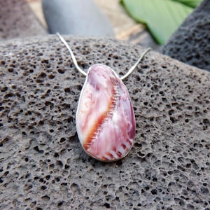 Hawaiian Thorny Oyster / Spiny Scallop Shell Pendant with Sterling Silver Bezel and Necklace - Kauai
