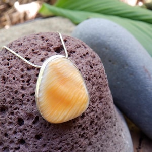 Hawaiian Thorny Oyster / Spiny Scallop Shell Pendant with Sterling Silver Bezel and Necklace - Kauai