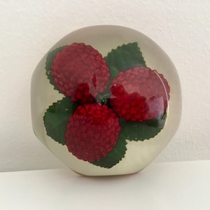 Vintage Lucite Acryl gewölbte dekorative Briefbeschwerer mit Himbeeren
