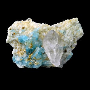 May include: A mineral specimen featuring a cluster of light blue, prismatic crystals alongside a single, large, transparent, colourless, double-terminated crystal. The crystals are embedded in a textured, off-white, granular rock matrix.