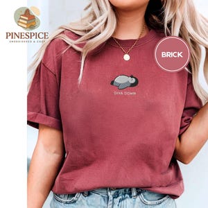 May include: A brick-red t-shirt featuring an embroidered penguin and the words "DIVA DOWN." The shirt has a relaxed fit and rolled-up sleeves. The brand logo "PINESPICE EMBROIDERED & COZY" is visible in the upper left corner.