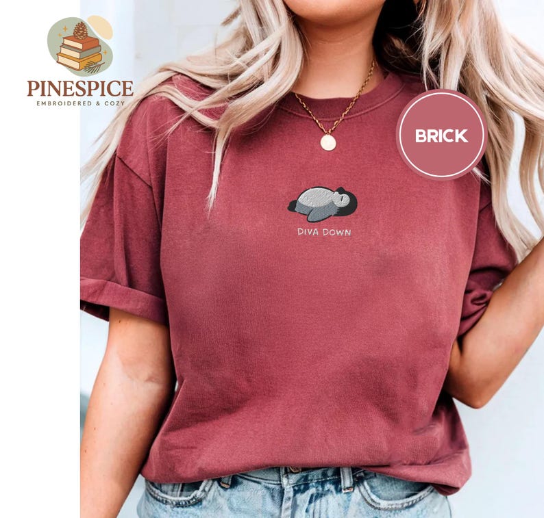 May include: A brick-red t-shirt featuring an embroidered penguin and the words "DIVA DOWN." The shirt has a relaxed fit and rolled-up sleeves. The brand logo "PINESPICE EMBROIDERED & COZY" is visible in the upper left corner.
