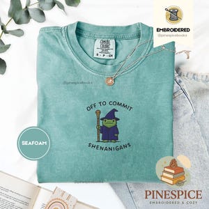 May include: Seafoam green t-shirt with the text "OFF TO COMMIT SHENANIGANS" and a cartoon frog wizard. The shirt has a crew neck and short sleeves. A silver necklace with a pendant is on the shirt.