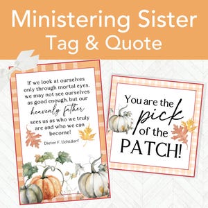May include: Two decorative cards with fall-themed designs. One card features a quote about self-worth, pumpkins, and autumn leaves. The other card says "You are the pick of the PATCH!" with a pumpkin and leaves. The cards have orange and white gingham borders.