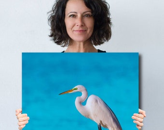 White Egret Print: Turquoise Florida Seascape, Nature Wall Art