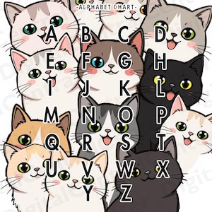 Póster de Gatos del ABC n.° 2 (33 x 48 cm), ideal para profesores, aulas, guarderías, habitaciones infantiles, aprendizaje y educación.