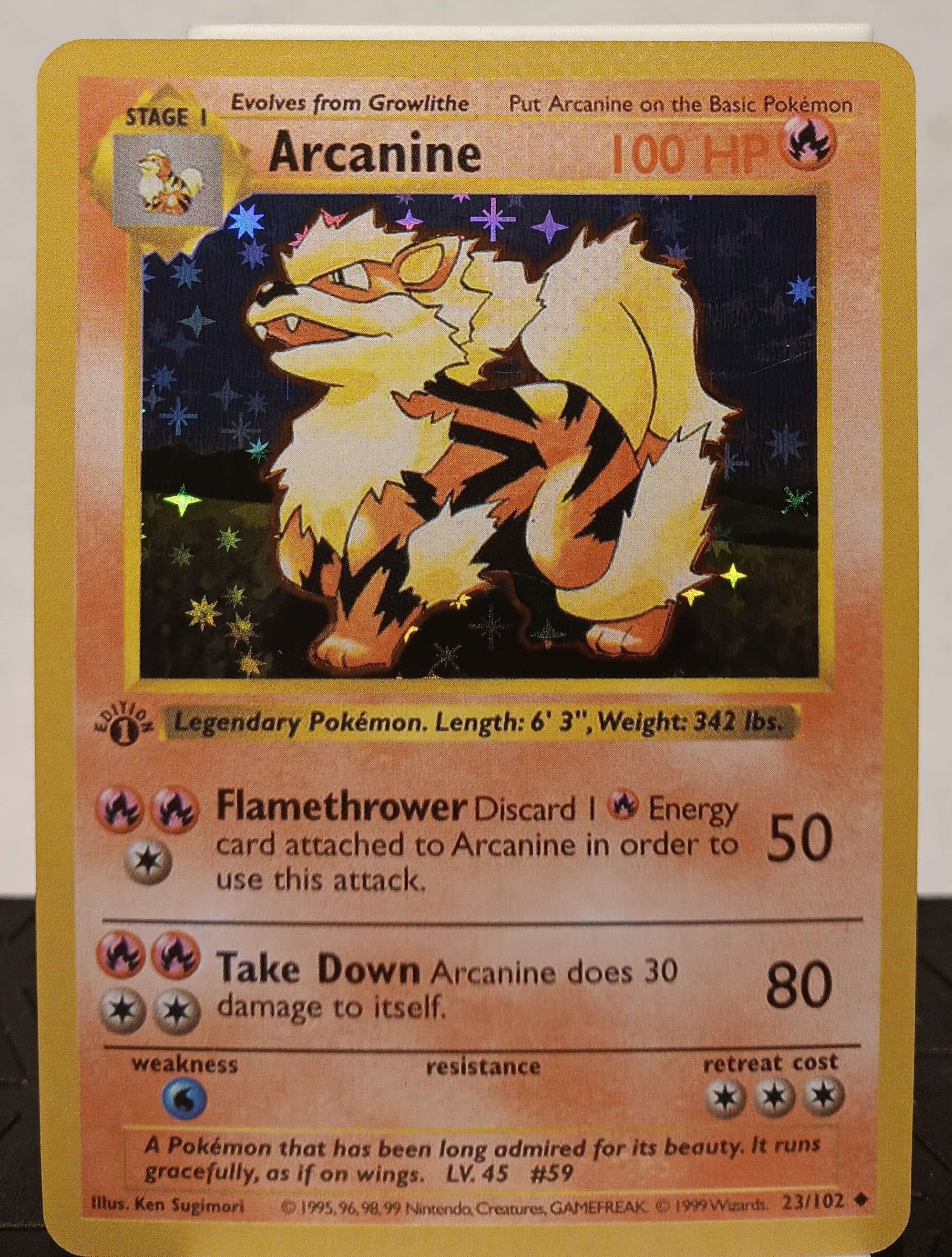 英語版初期　Arcanine 1st　Edition shadowless Arcanine 1st Edition Shadowless - Perfect Gift for Kids or