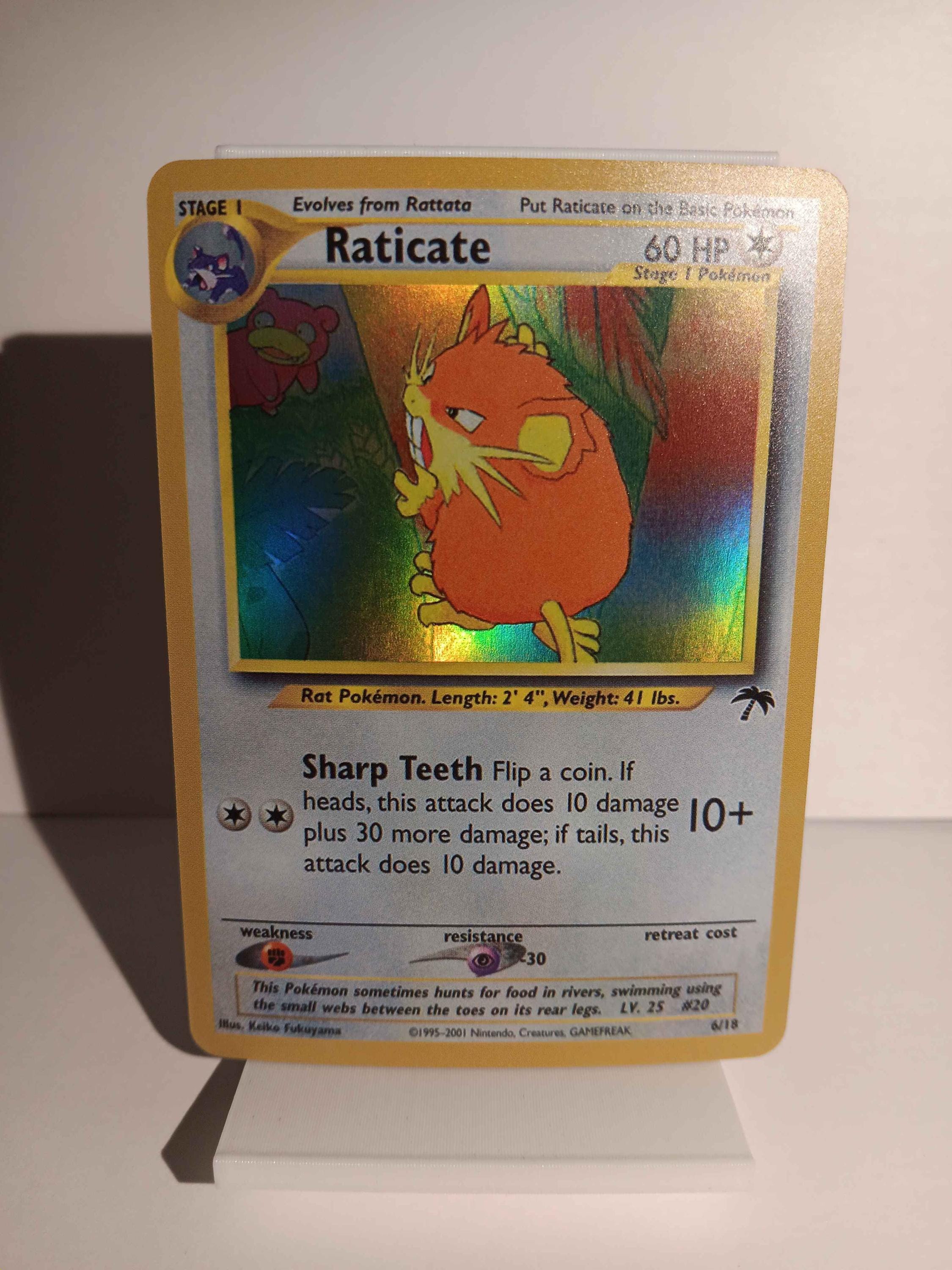 Raticate Southern s 英語版 6/18 Raticate Southern Islands 6/18 Promo - Perfect Gift for Poke Fans