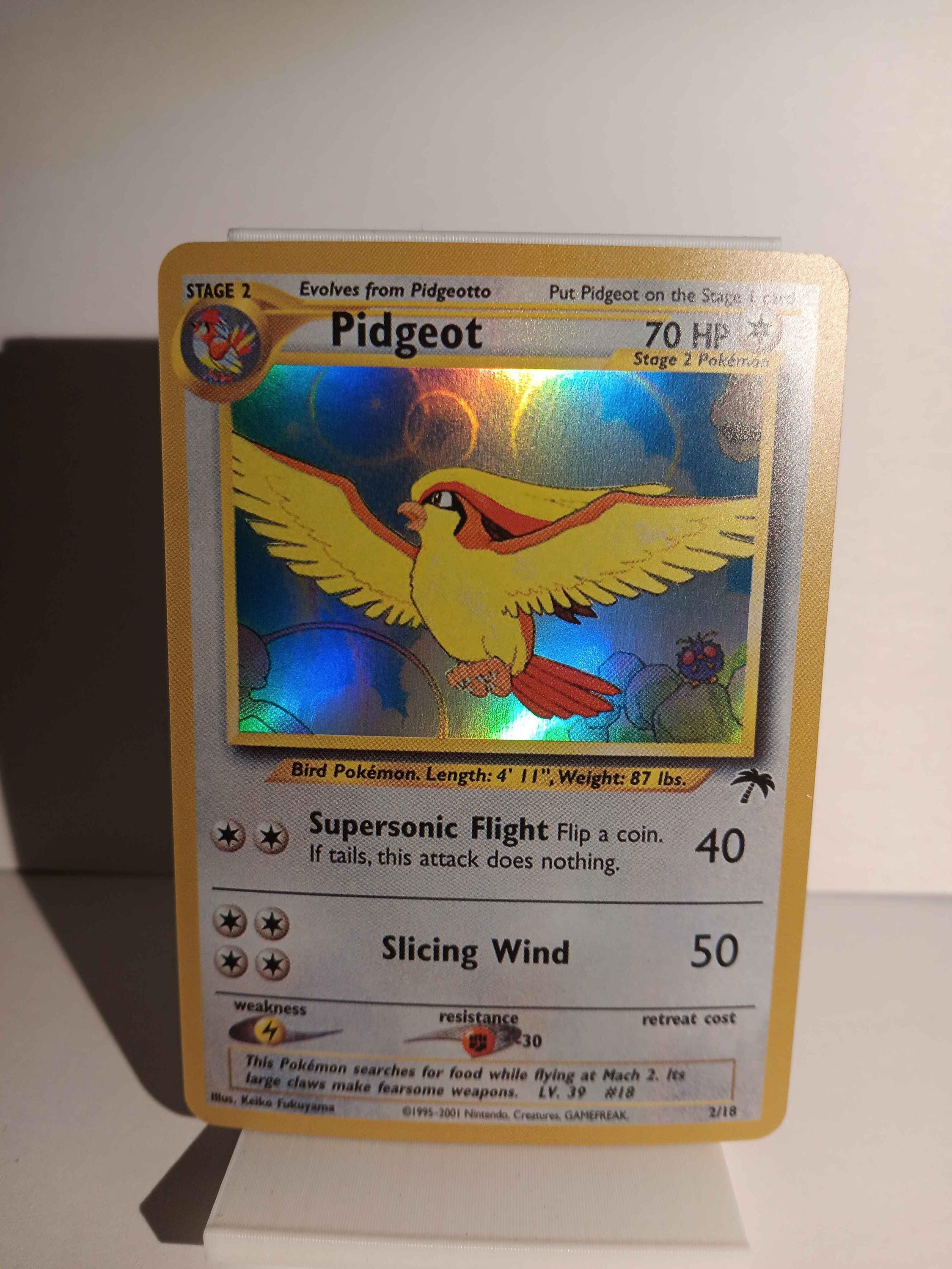 Pidgeot Southern s 英語版 2/18 il_fullxfull.7189840728_bmw5.jpg