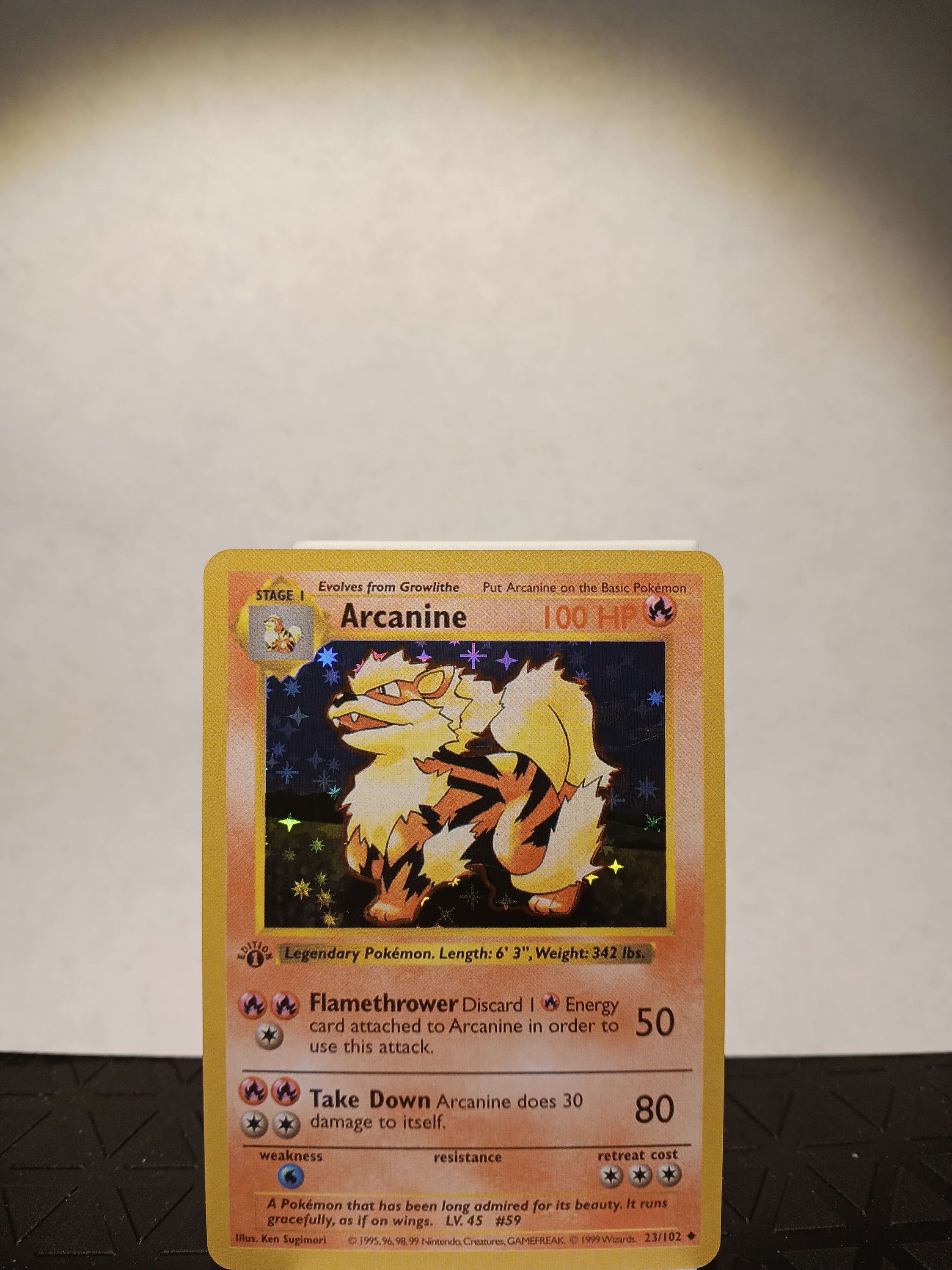 英語版初期　Arcanine 1st　Edition shadowless Arcanine 1st Edition Shadowless - Perfect Gift for Kids or
