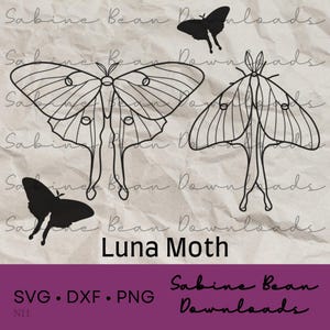 May include: A digital design file featuring three black and white illustrations of Luna moths. The moths are depicted with intricate wing patterns and details. The text "Luna Moth" is written in black below the images.
