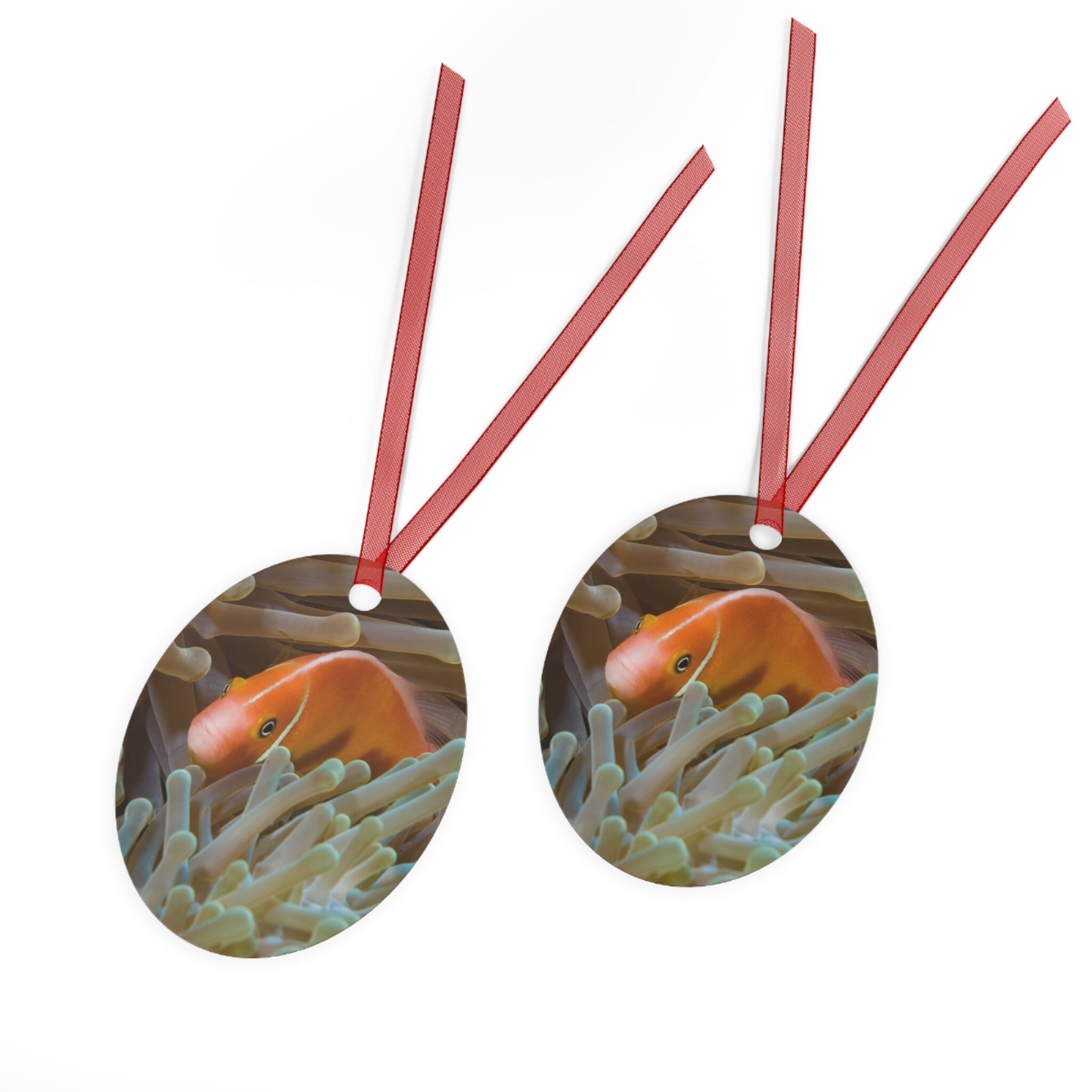 View of Metal Ornaments, Cute Fish Photo, Clownfish Photo, Scuba Diving Photo ...