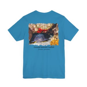 May include: A light blue t-shirt with a colorful image of a Cozumel Splendid Toadfish (Sanopus splendidus) on the back. The image shows the fish in its natural habitat, surrounded by coral and other marine life.