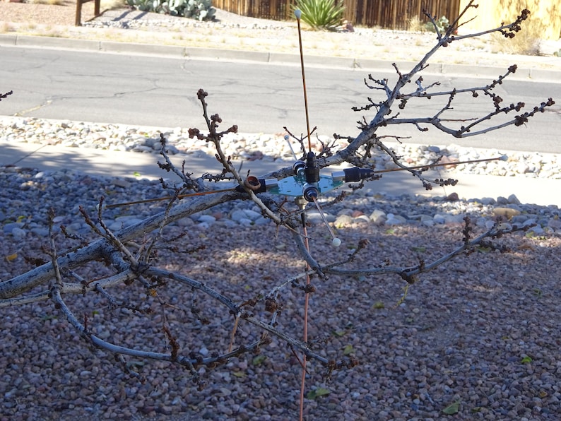 May include: A close-up of a blue and silver electronic device attached to a bare tree branch. The device has multiple wires extending from it, and the branch is surrounded by small, brown twigs.