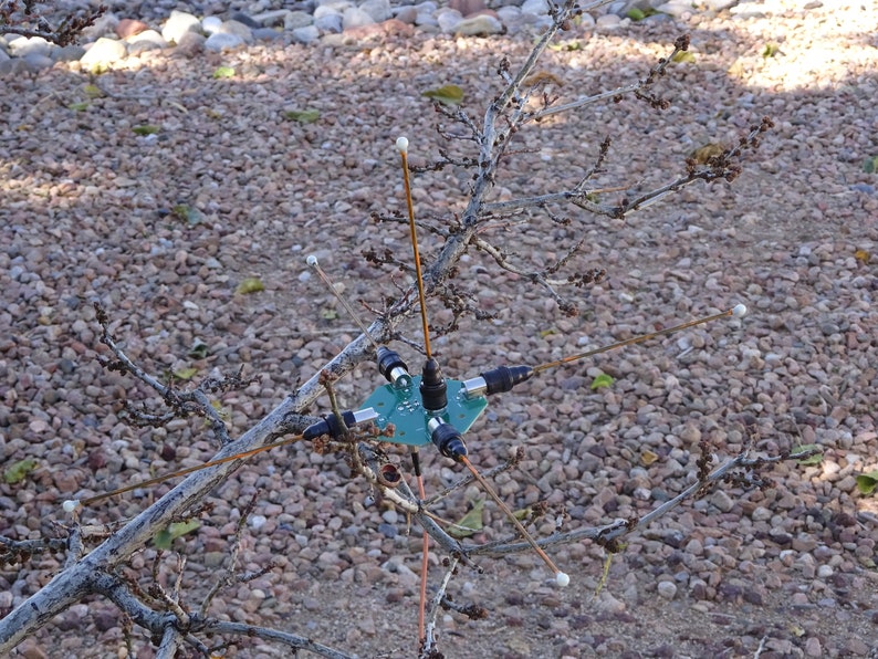 May include: A green circuit board with five copper antennas attached to it. The antennas are connected to the board with black connectors. The board is mounted on a branch of a tree.