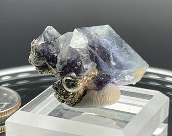 May include: A small cluster of purple and clear fluorite crystals on a white display stand. The crystals are sharp and well-formed, with a glassy luster. The fluorite is about the size of a quarter.