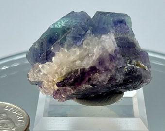 May include: A cluster of purple, green, and white fluorite crystals on a small white display stand. The fluorite is a natural mineral specimen.