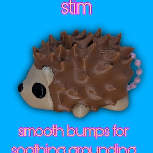 May include: A brown hedgehog-shaped object with a textured surface, black eyes, and a pink beaded loop. The image includes the text "Spikes for pain stim" and "smooth bumps for soothing grounding sensation" on a blue background.