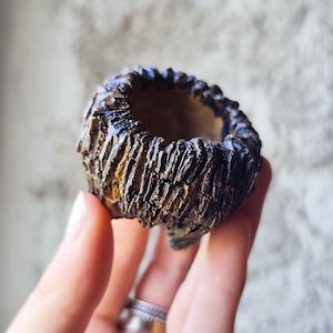 Könnte beinhalten: Ein kleiner, handgefertigter Keramiktopf mit rauer, strukturierter Außenseite. Der Topf ist dunkelbraun mit helleren braunen und blauen Akzenten. Der Rand hat eine gezackte Kante, und der Topf wird in einer Hand gehalten.
