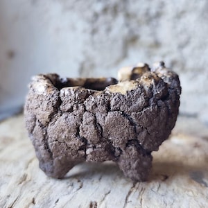 May include: A small, handcrafted brown ceramic planter with a textured, bark-like appearance. The planter has a square shape with rounded edges and sits on three small feet. Suitable for succulents or small plants.