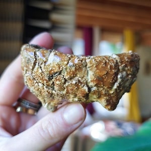 May include: A small, handcrafted ceramic bowl with a textured, organic appearance. The bowl is mainly brown with lighter, tan accents. It has a unique, irregular shape and is held in a person's hand.