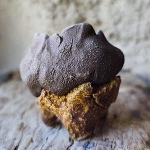 Peut inclure: Sculpture en céramique bicolore. La partie supérieure est marron foncé et texturée, tandis que la base est beige clair et texturée avec des nuances de jaune. La sculpture est posée sur une surface en bois vieilli.