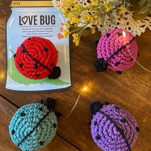 Punaise coccinelle au crochet | punaise d'amour | d'amour | Amigurumi | Cadeau au crochet | Encouragements | Cadeaux pour fête | Câlin de poche