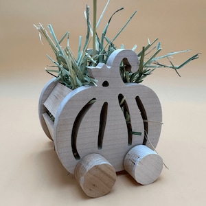 IMPERFECT Wooden Pumpkin Hay Feeder Push Toy for Bunnies and Small Pets - Timothy hay included
