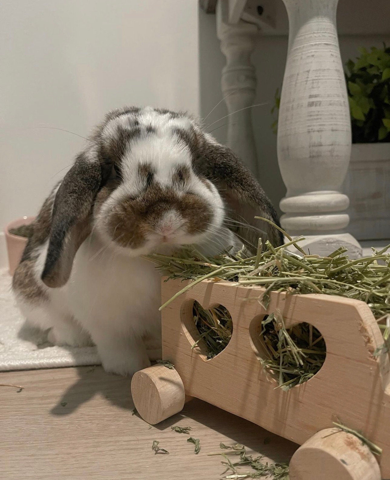 Wooden Hay Bus Bunny Hay Feeder / Push Toy for Rabbits and Small Pets ...