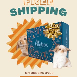 Op de afbeelding: Een blauwe en witte cadeaudoos met een gouden strik en een konijnenontwerp. De doos is omgeven door een gele en oranje ster. De tekst "FREE SHIPPING ON ORDERS OVER $35" wordt onder de doos weergegeven.