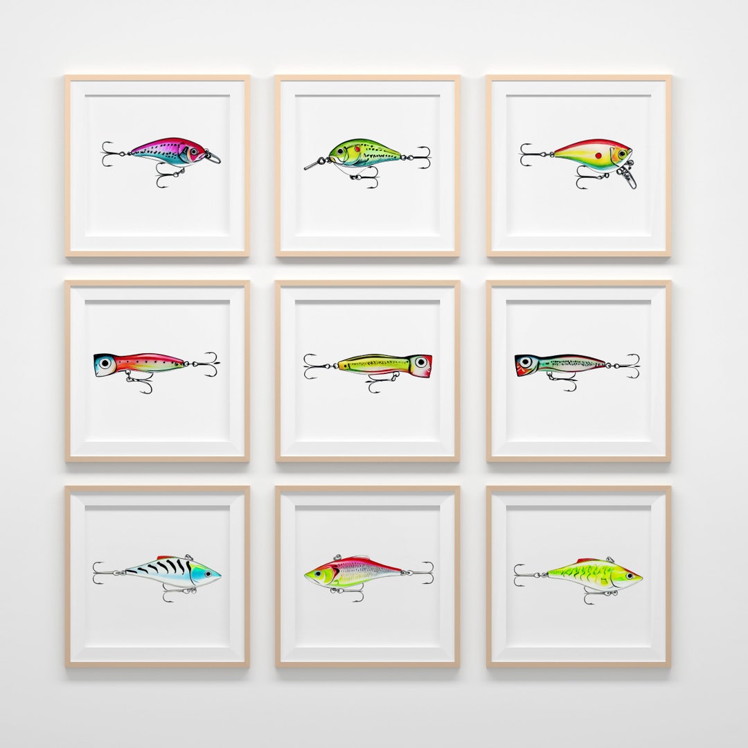 Fishing Lures Collection Full Collection Etsy