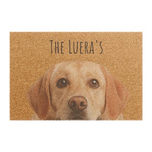 Dog Doormat, Golden Retriever Welcome Mat, Pet Lover Entrance Rug, Hello Mat, Animal Lover Home Decor, Indoor Outdoor Rug
