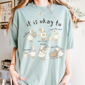 Pu&ograve; includere: Maglietta azzurra con la frase "it is okay to" e illustrazioni di oche. Le oche hanno fumetti con frasi come "Compra usato", "Fai acquisti usati e orgogliosi" e "Risparmia solo per divertimento".
