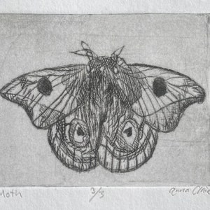 Moth Drypoint Print