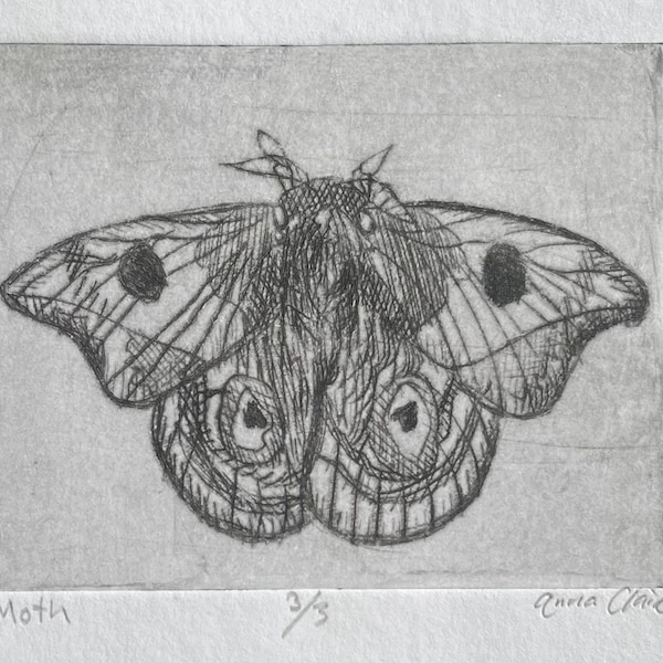 Moth Drypoint Print