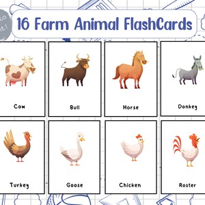 16 Farm Animals Cards, Montessori flash cards, Pre-School Cards, Rainbow Educational Printable Cards, DIGITAL DOWNLOAD