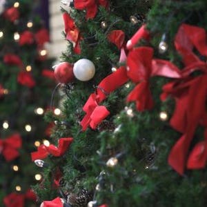 Può includere: Due alberi di Natale decorati con fiocchi rossi, palline bianche e luci scintillanti.