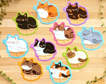 Kat in doos-stickers | Vinylsticker | Leuke stickers | Zwarte kat | Siamese kat | Cyperse kat | Witte kat | Zwart-wit kat | Schildpad |